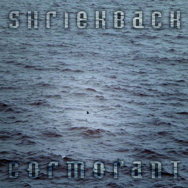 Album cover art for Cormorant