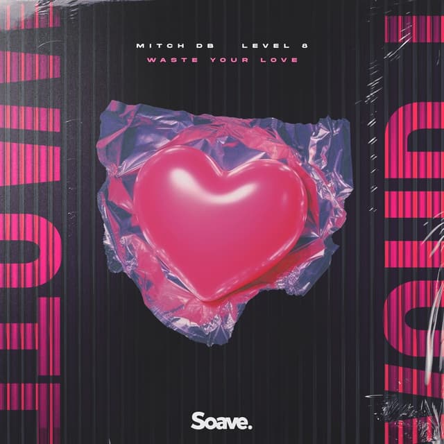 Album cover art for Waste Your Love