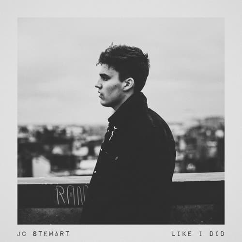 Album cover art for Like I Did