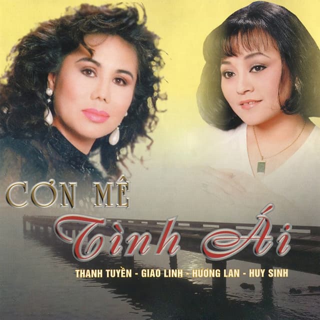 Album cover art for Cơn mê tình ái