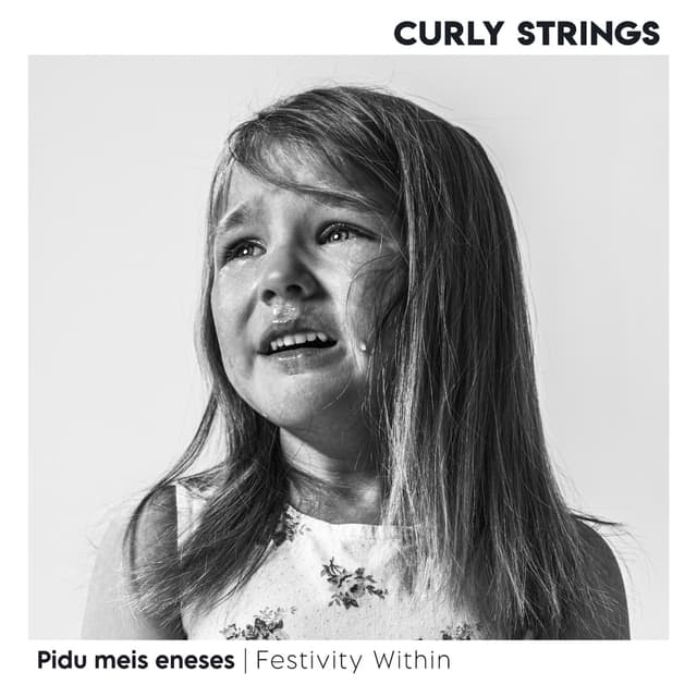 Album cover art for Pidu meis eneses