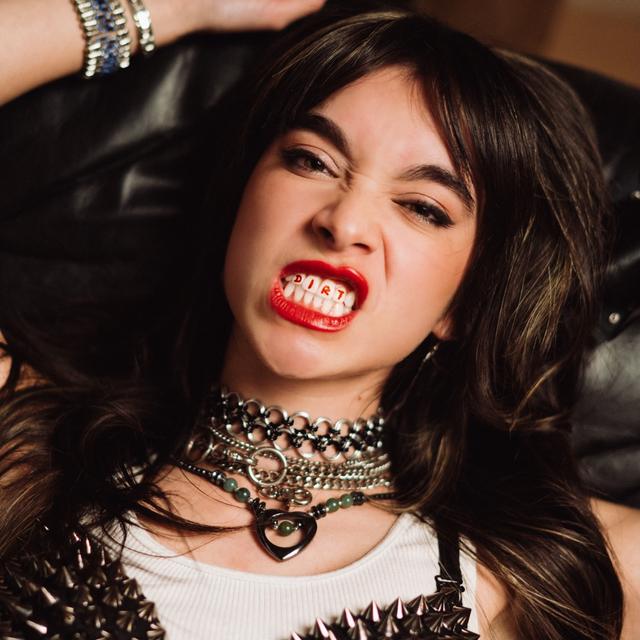 Album cover art for DIRT