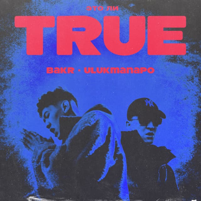 Album cover art for TRUE