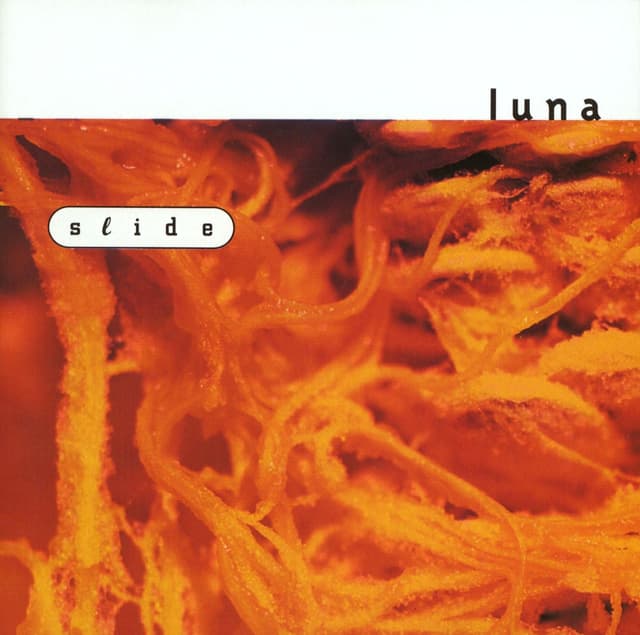 Album cover art for Slide