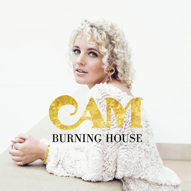 Album cover art for Burning House