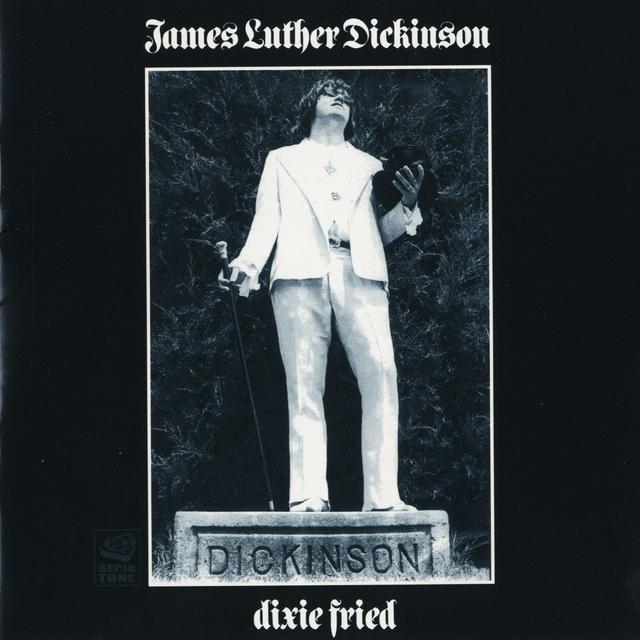 Album cover art for Dixie Fried