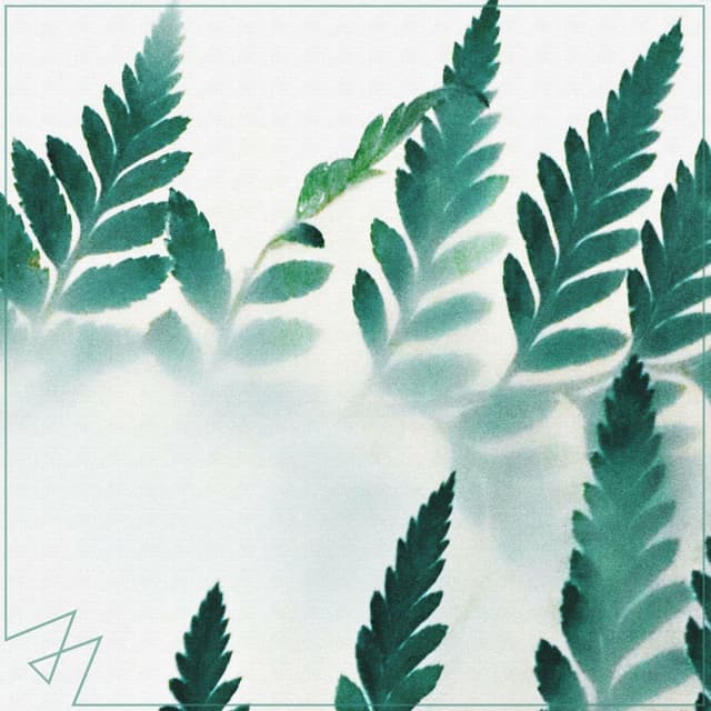 Album cover art for Someone You Loved