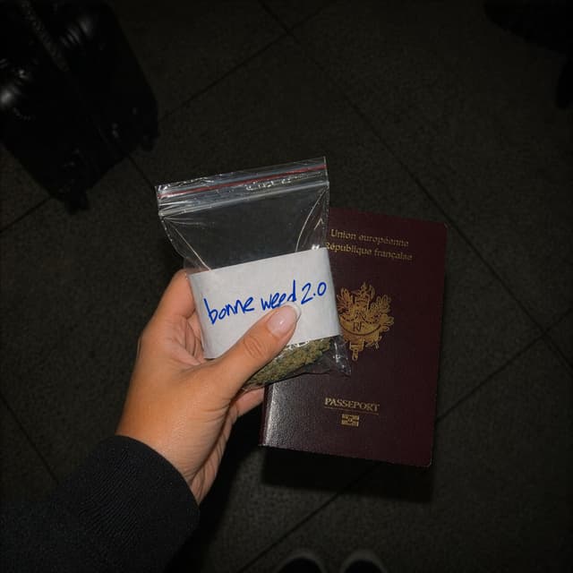 Album cover art for Bonne Weed 2.0
