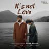 It's Not Love