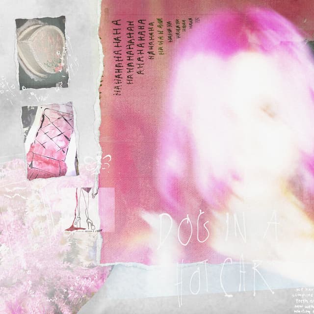 Album cover art for Dog in a Hot Car