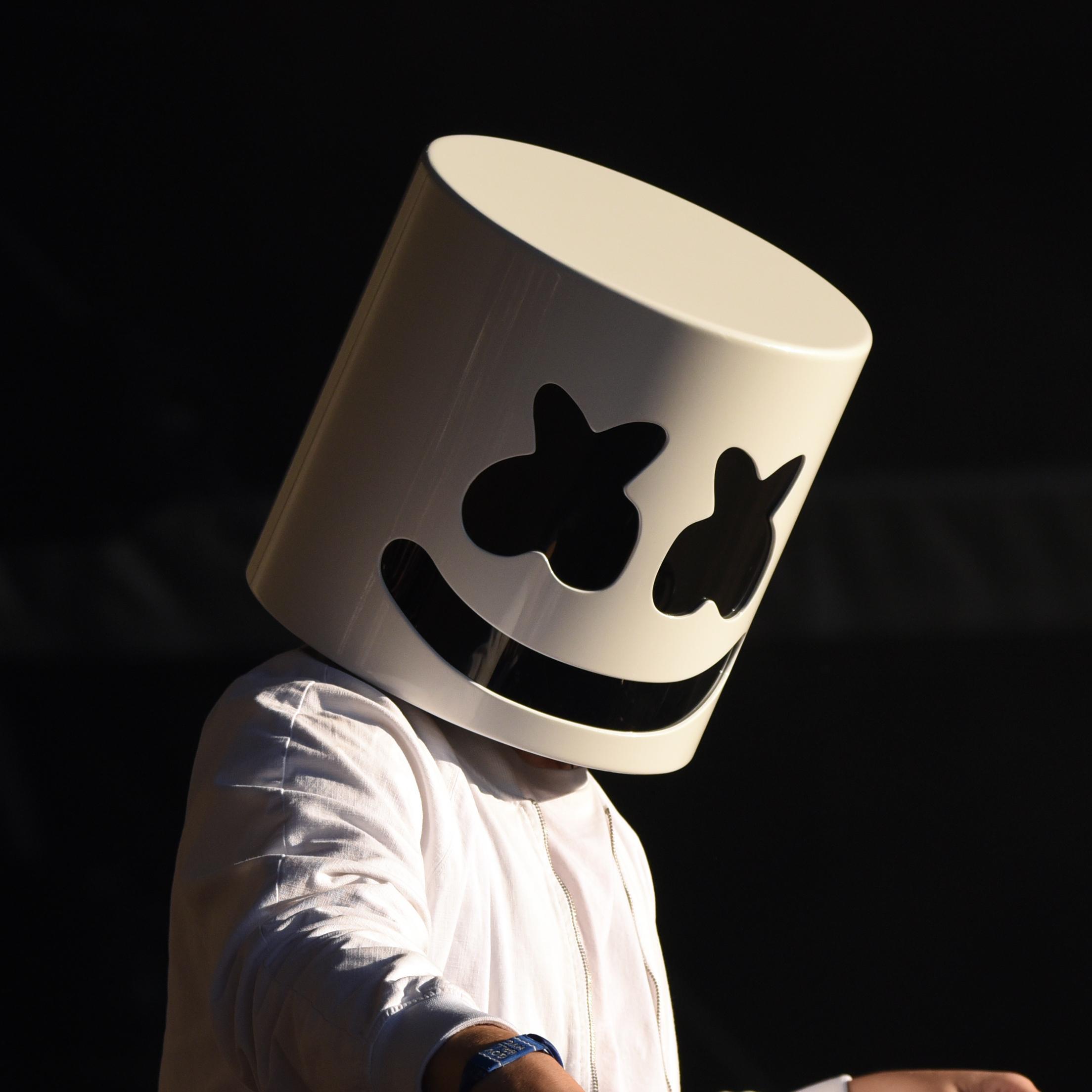 Artist chip image