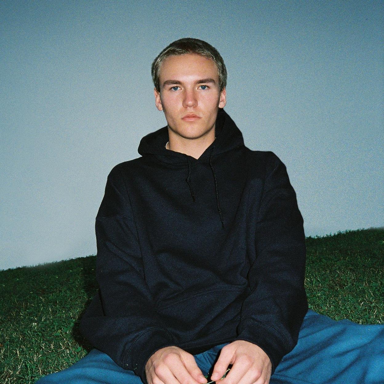 Artist chip image