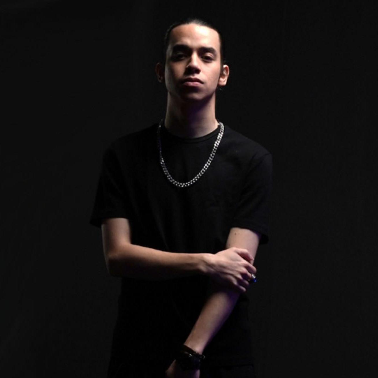 Artist chip image