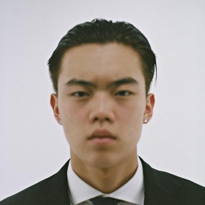 Artist chip image