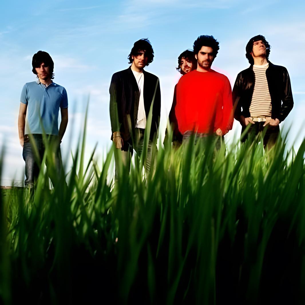 The Sunday Drivers