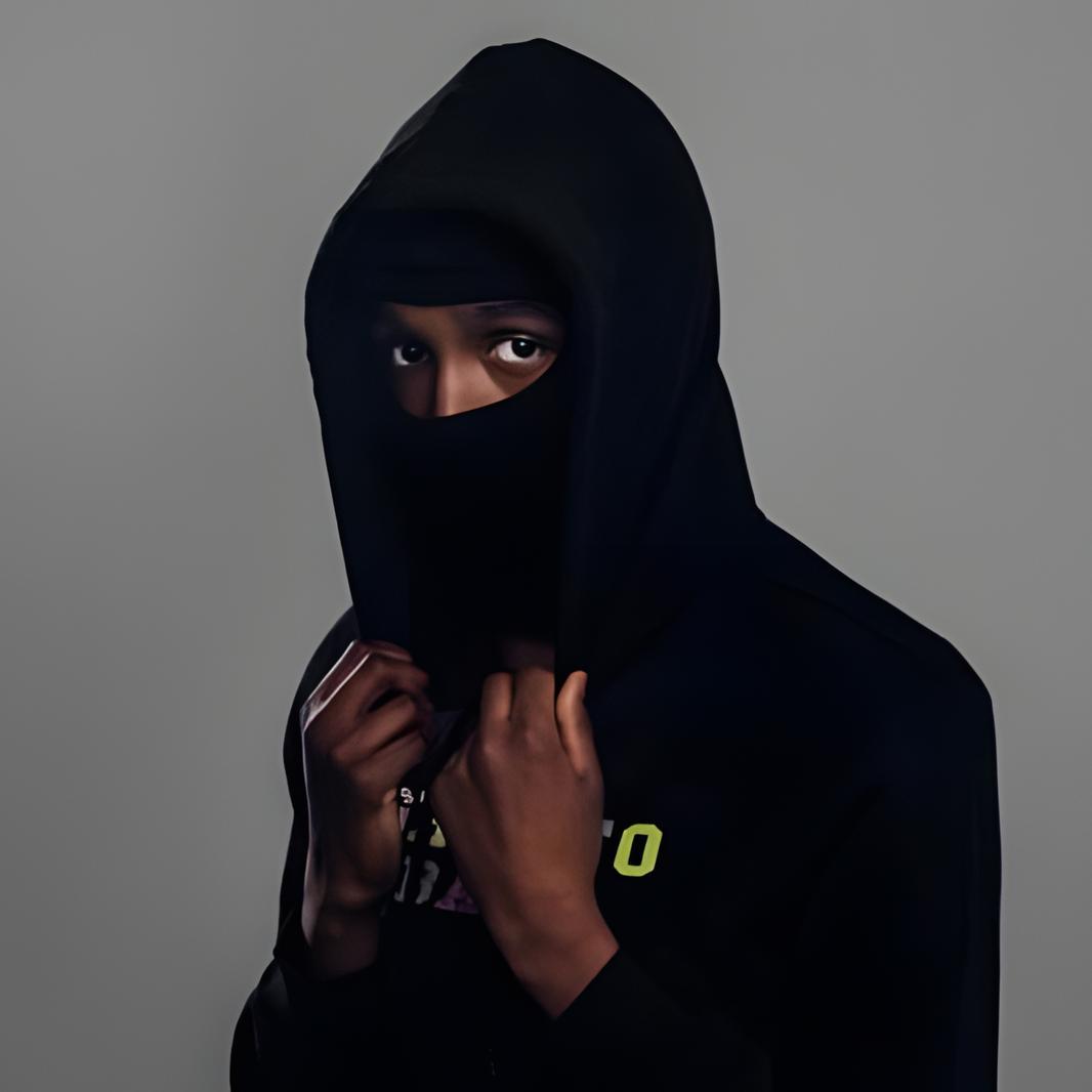 Artist chip image