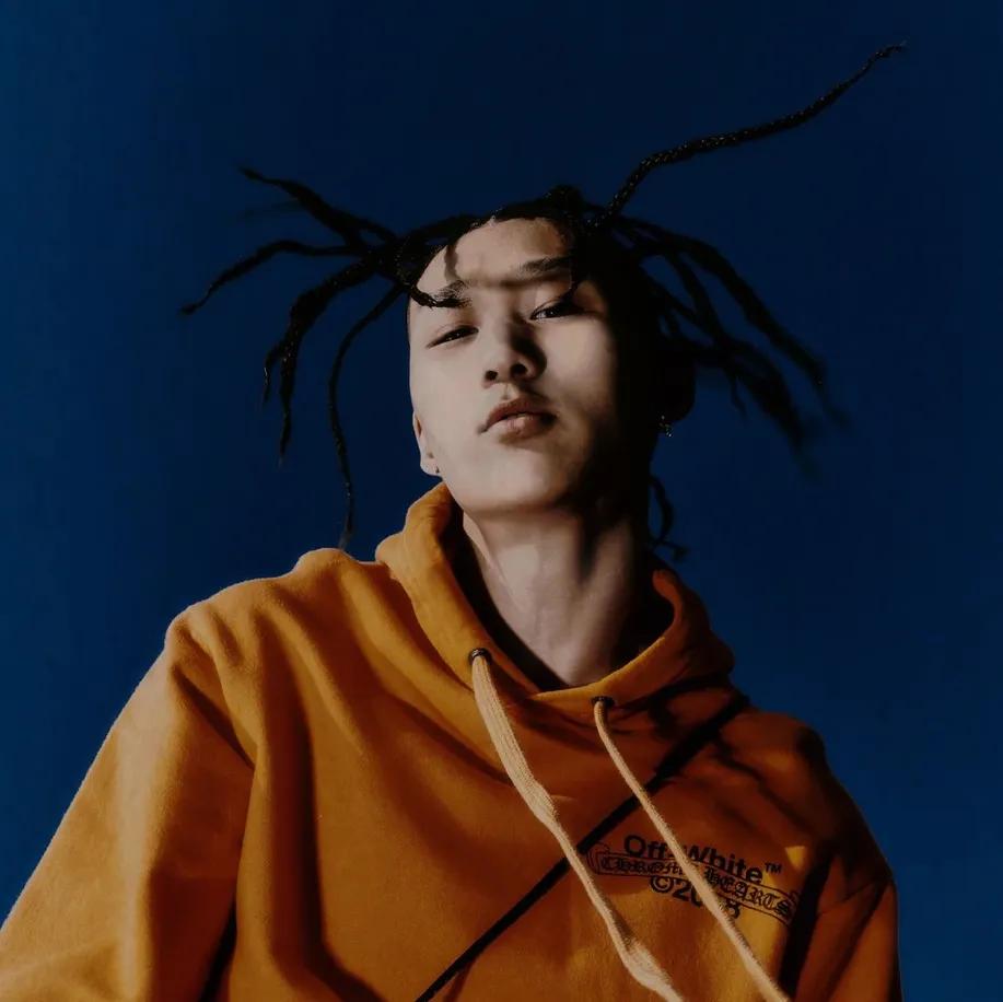Artist chip image