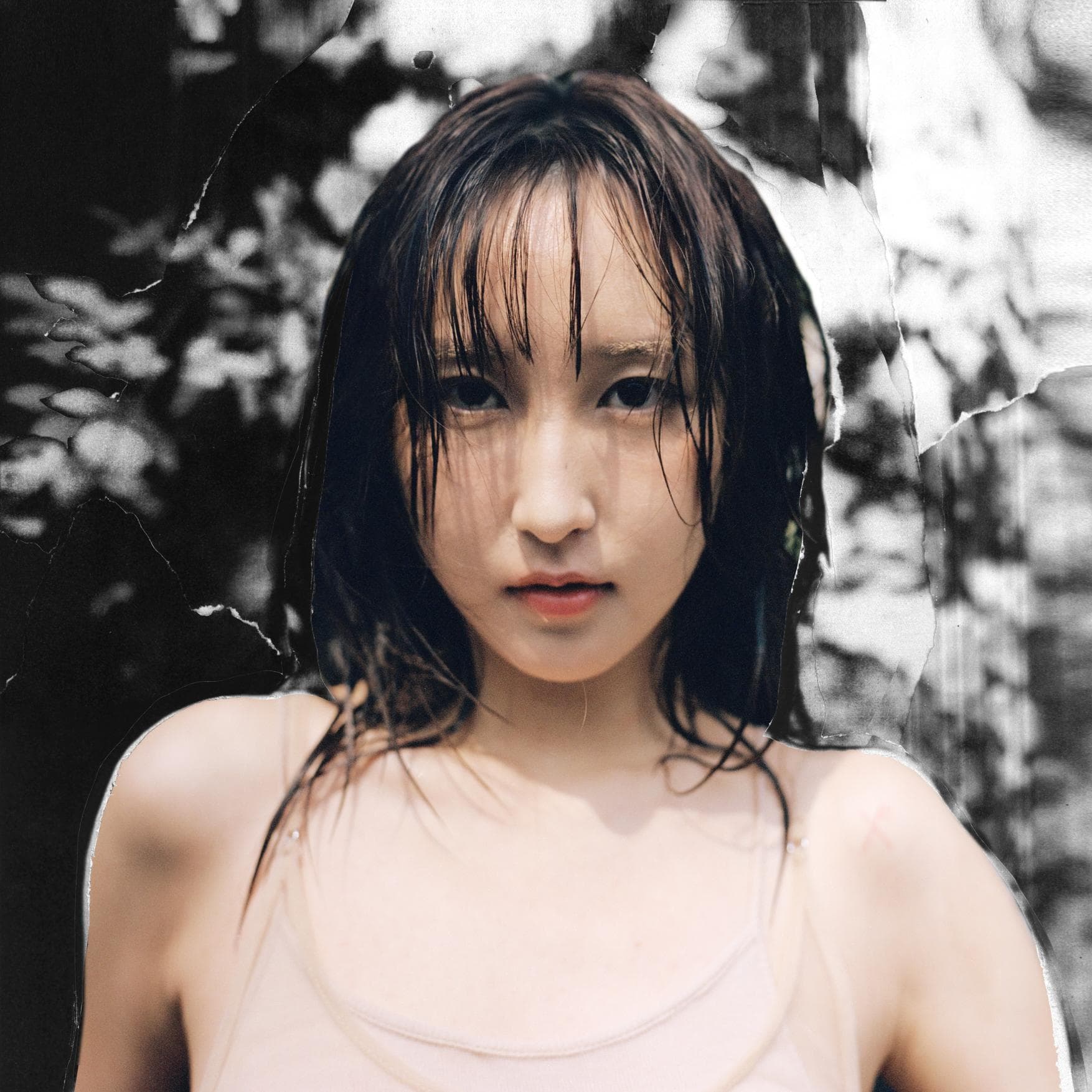 Dynamic cover art