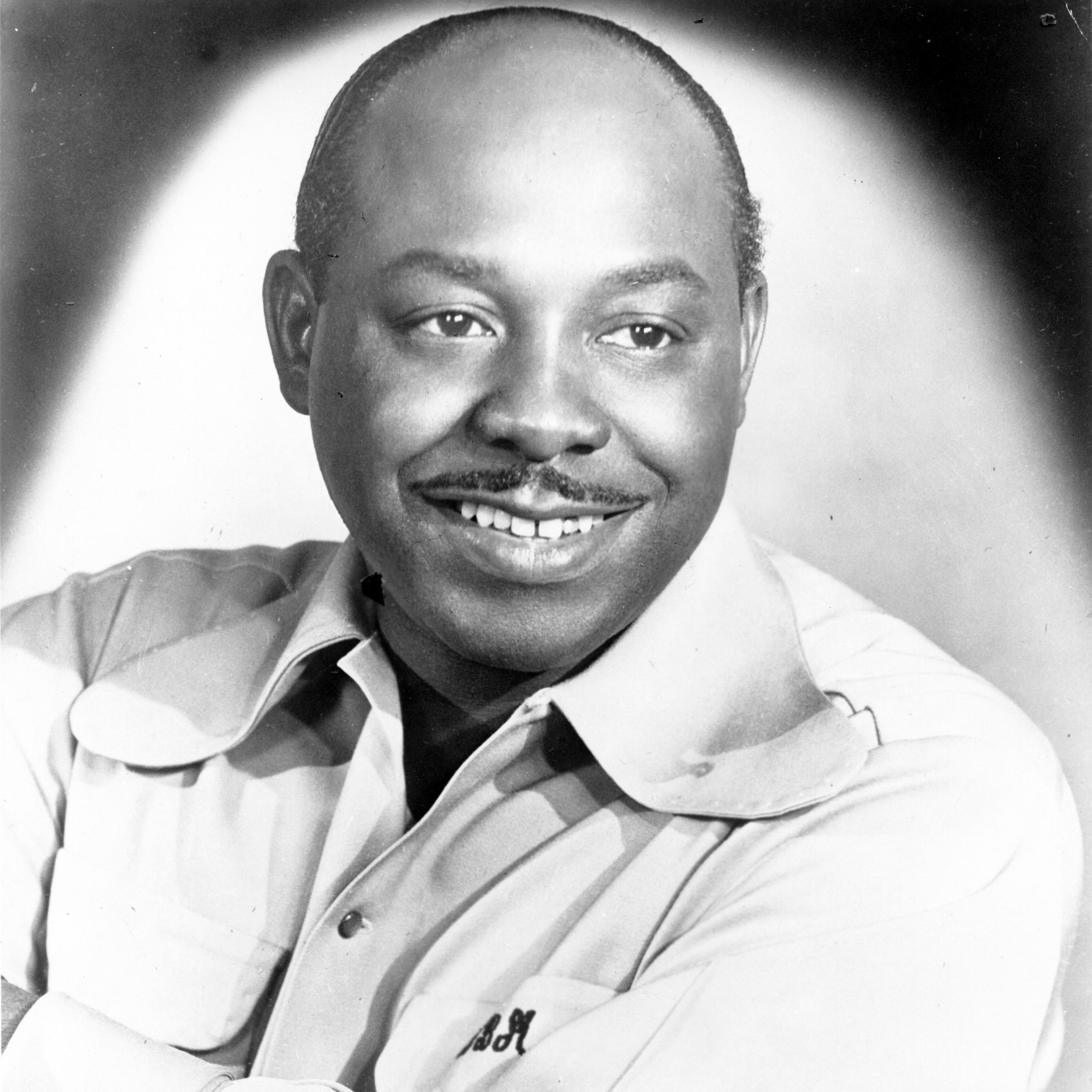 Artist chip image