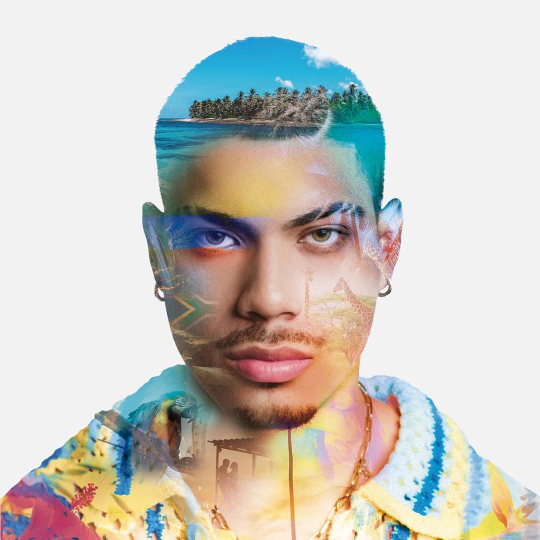 Dynamic cover art