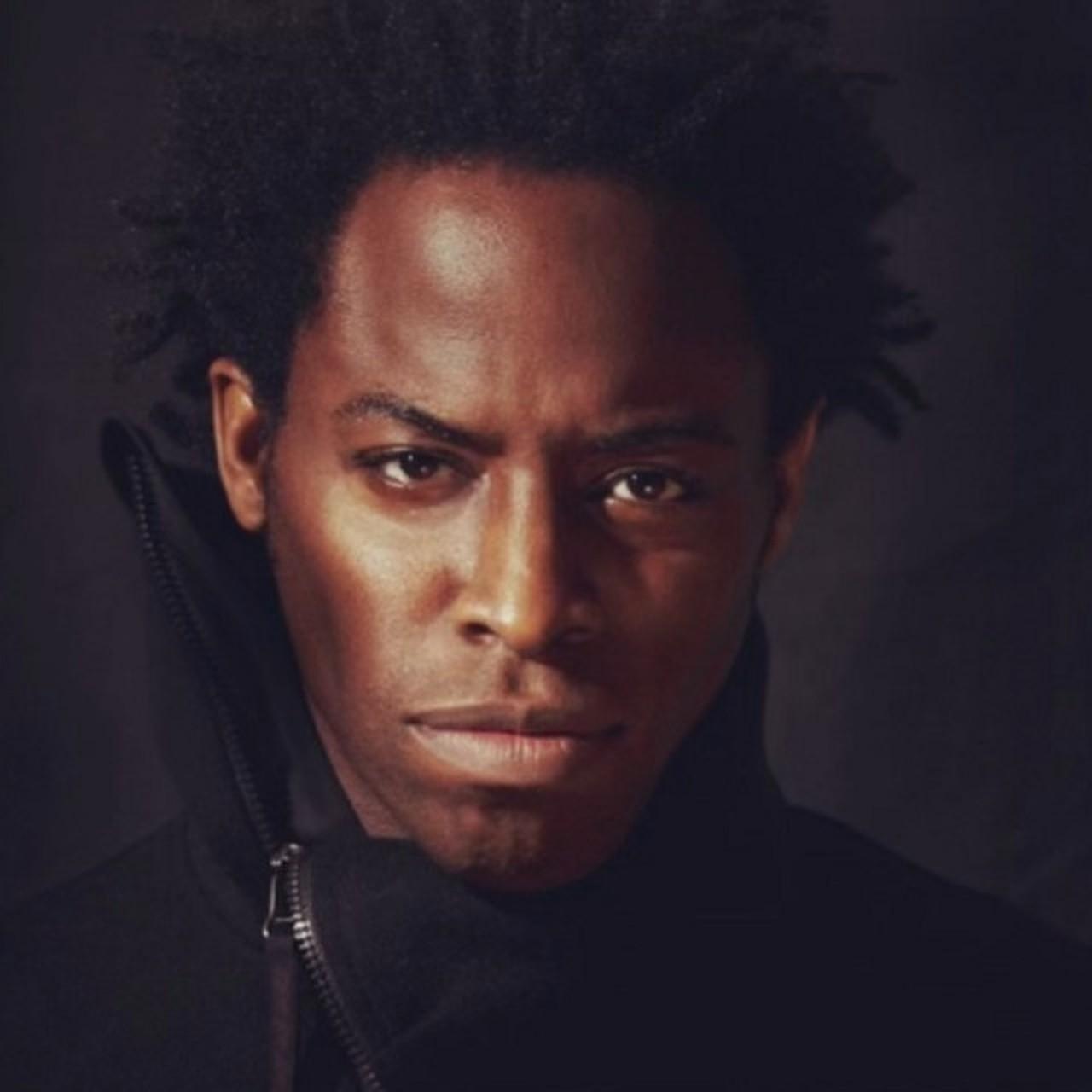 Artist chip image