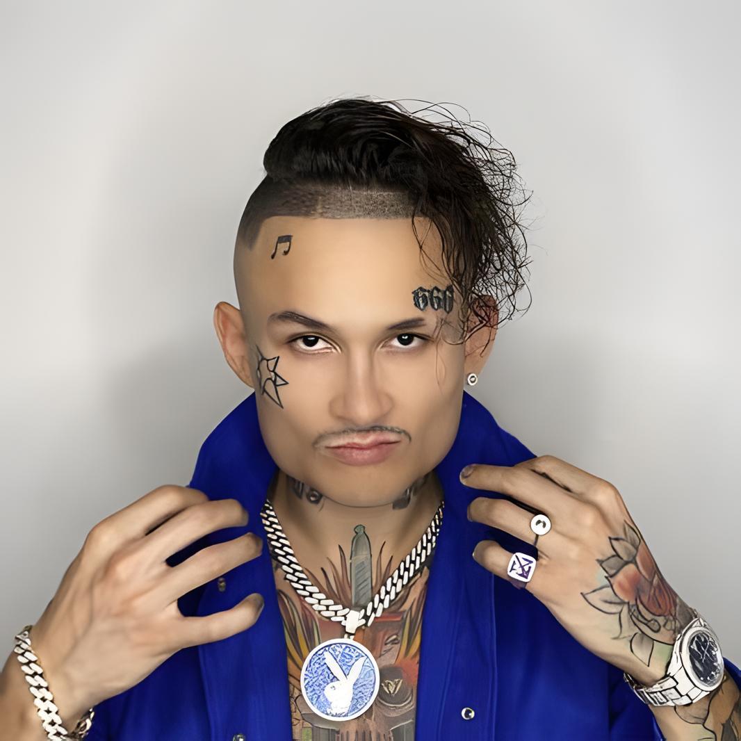 Artist chip image
