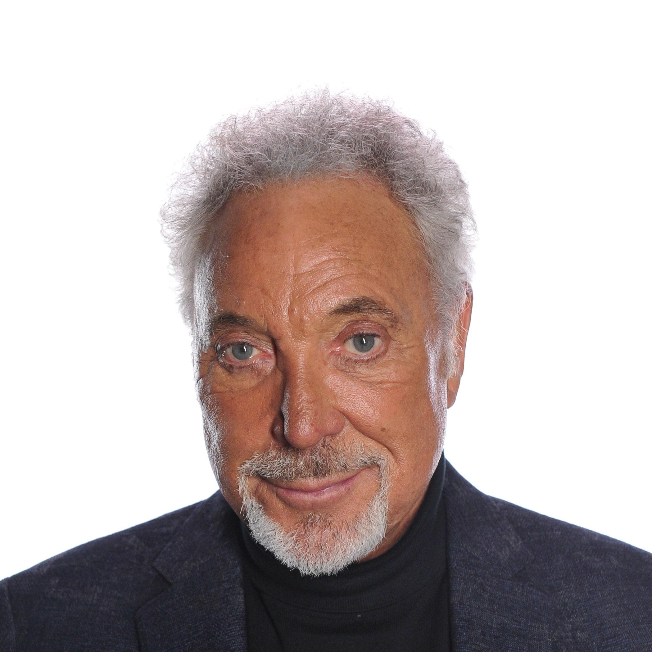 Artist chip image