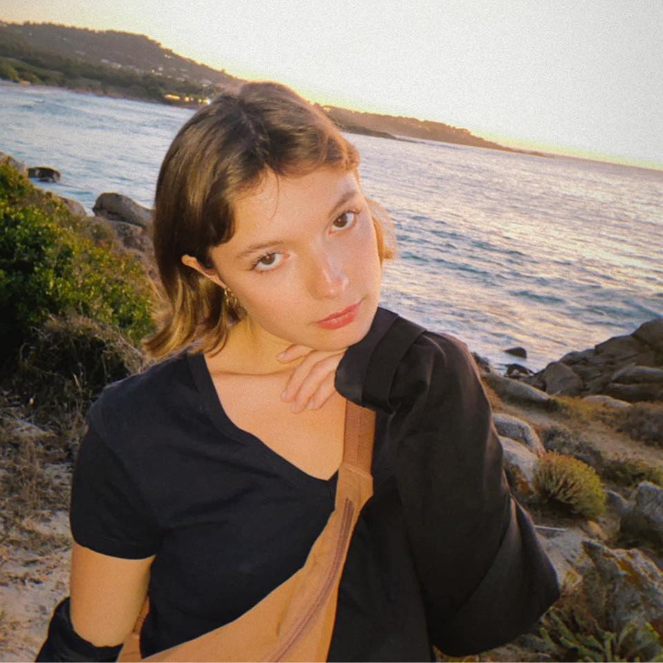 Artist chip image