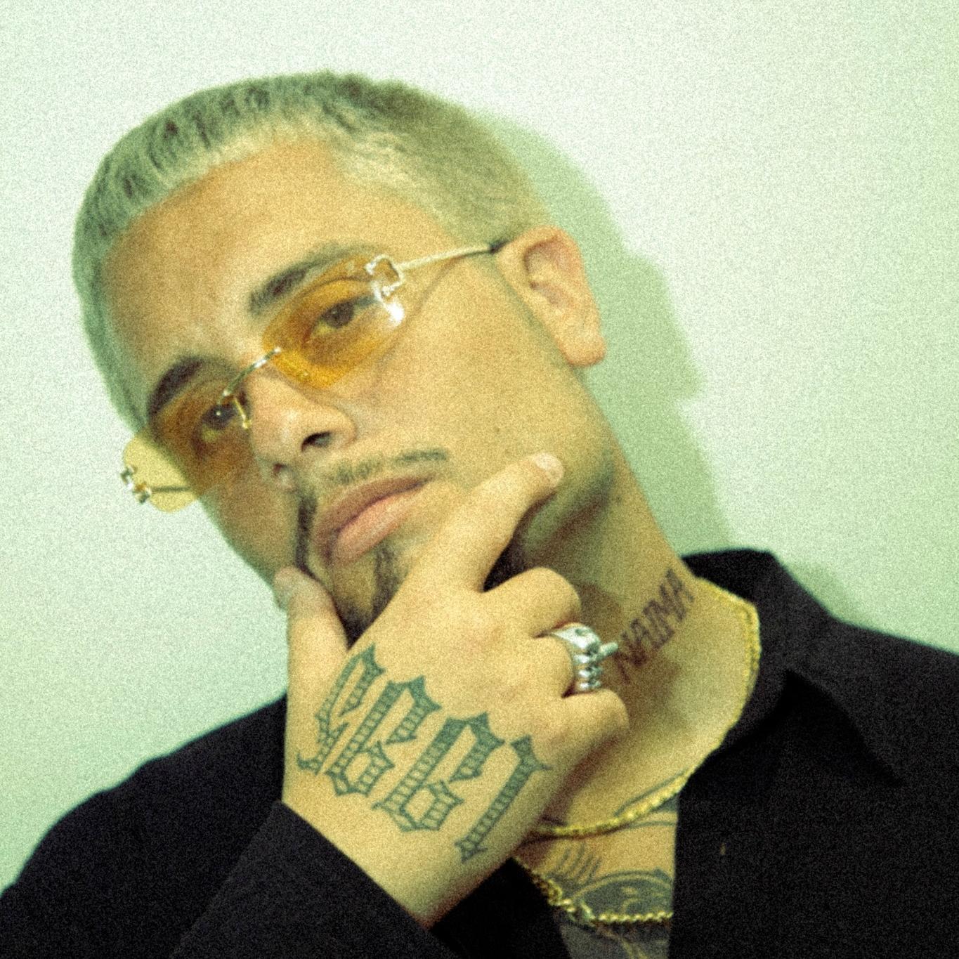 Artist chip image