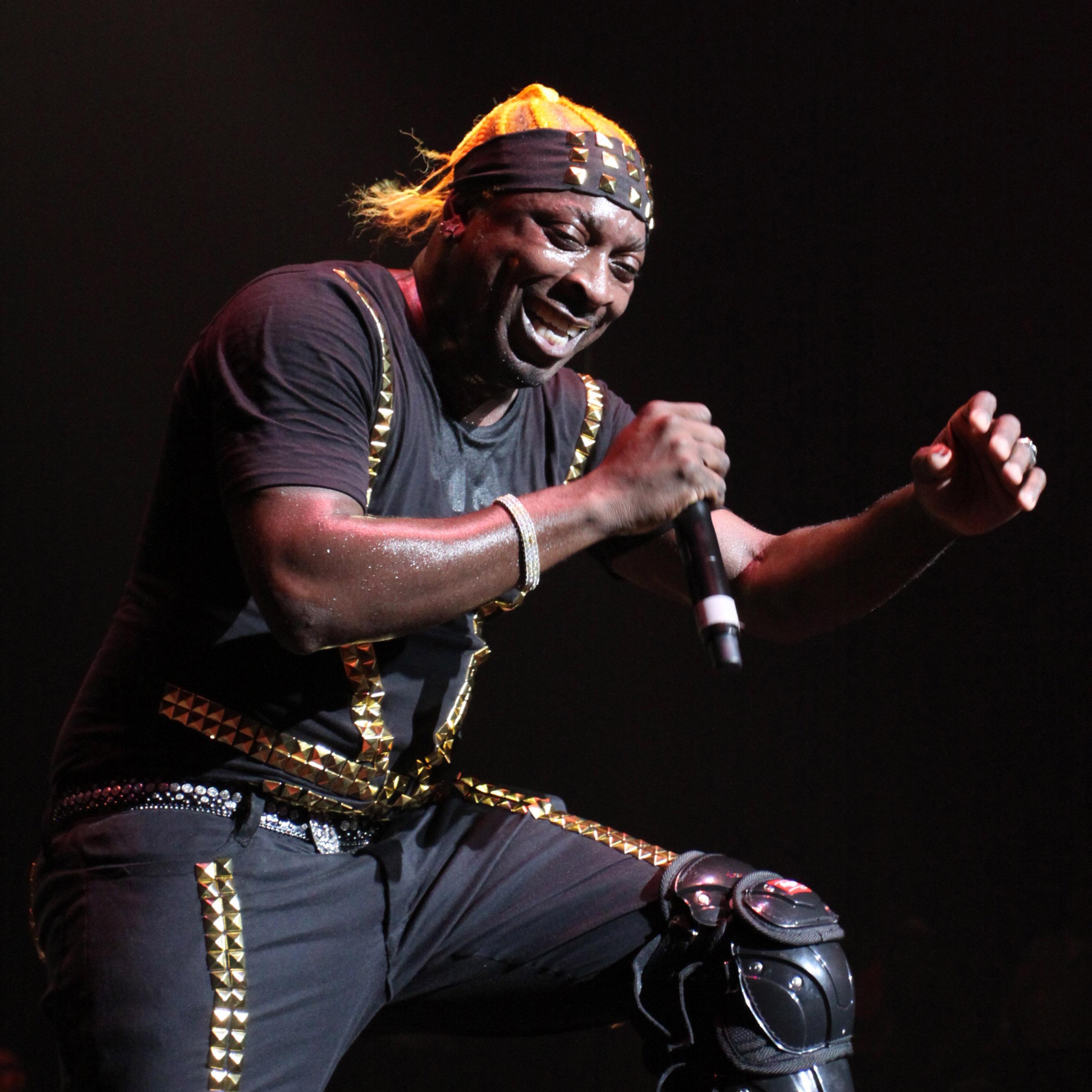 Elephant Man