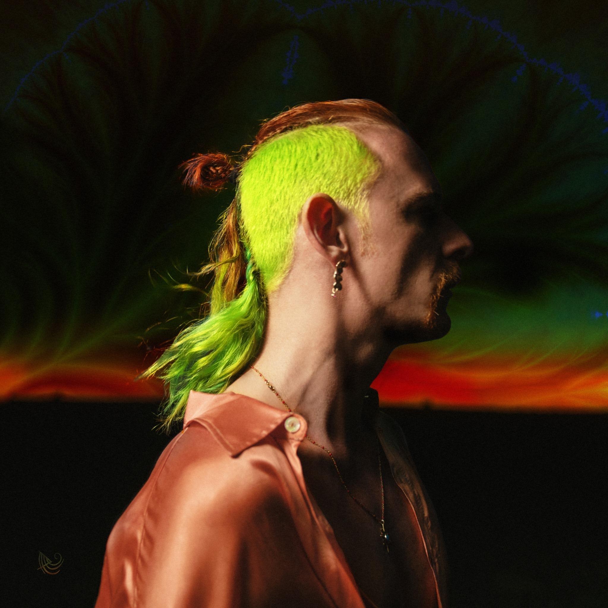 Artist chip image