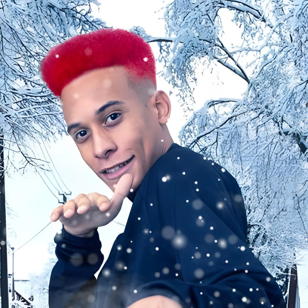 Artist chip image