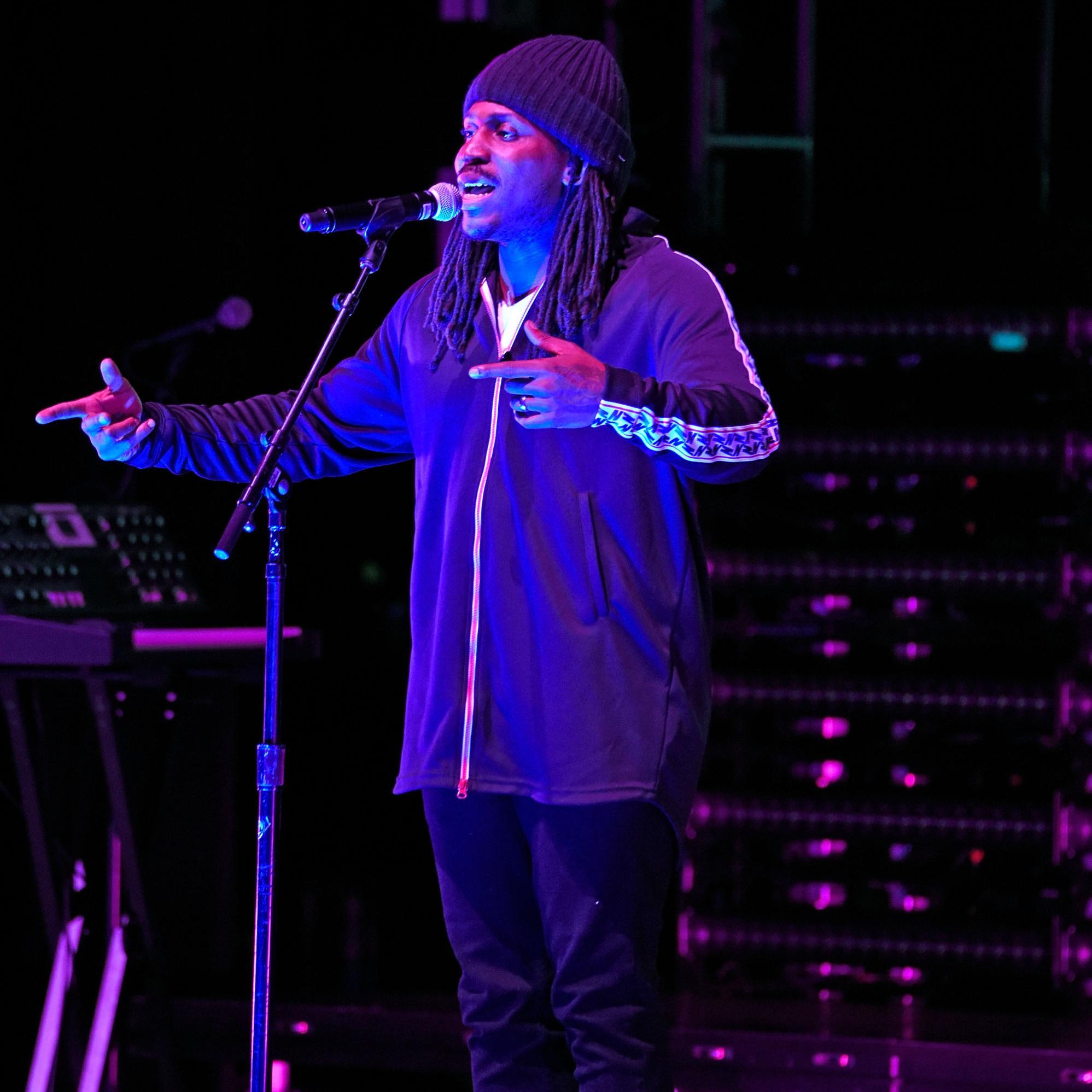 Artist chip image