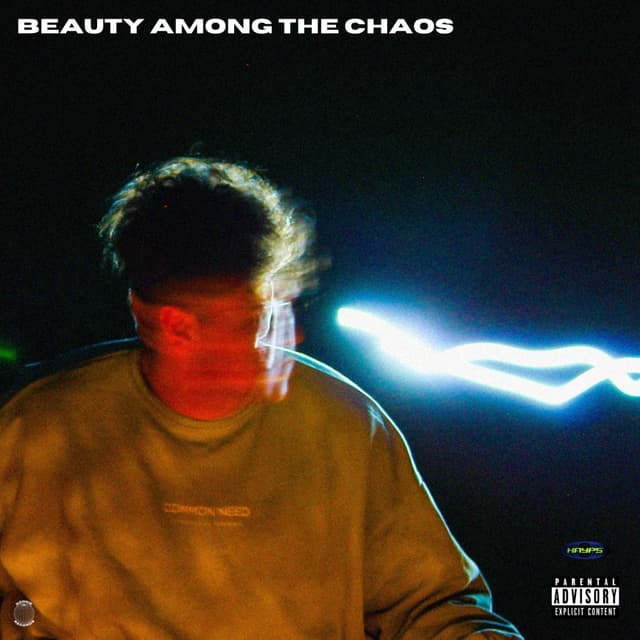 Album cover art for BEAUTY AMONG THE CHAOS