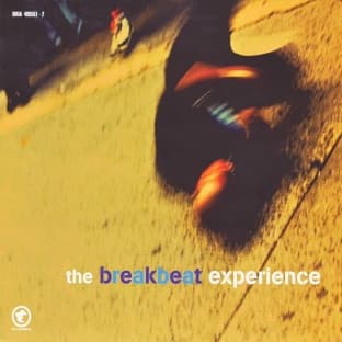 Album cover art for The breakbeat experience