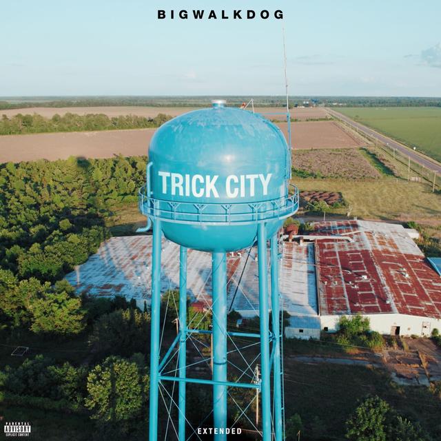 Album cover art for Trick City