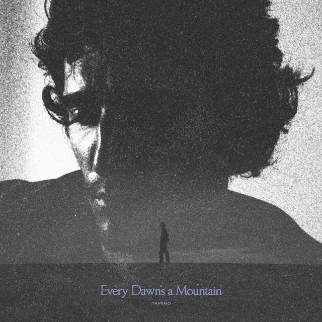 Album cover art for Every Dawn's a Mountain