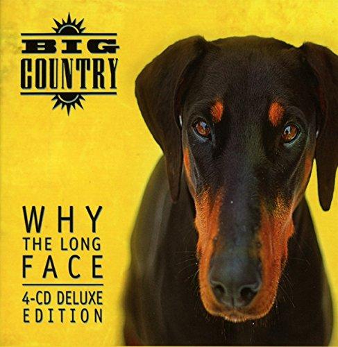 Album cover art for Why the Long Face