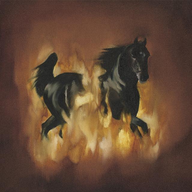 Album cover art for The Besnard Lakes Are the Dark Horse