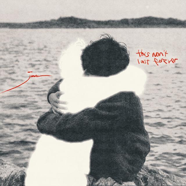 Album cover art for this won't last forever